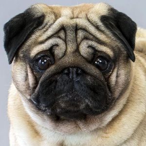 Meet your Posher, Jenn